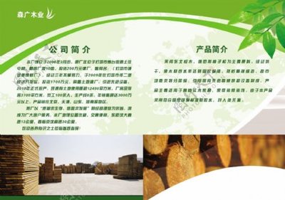 木材加工厂 从原木到生命的无限可能